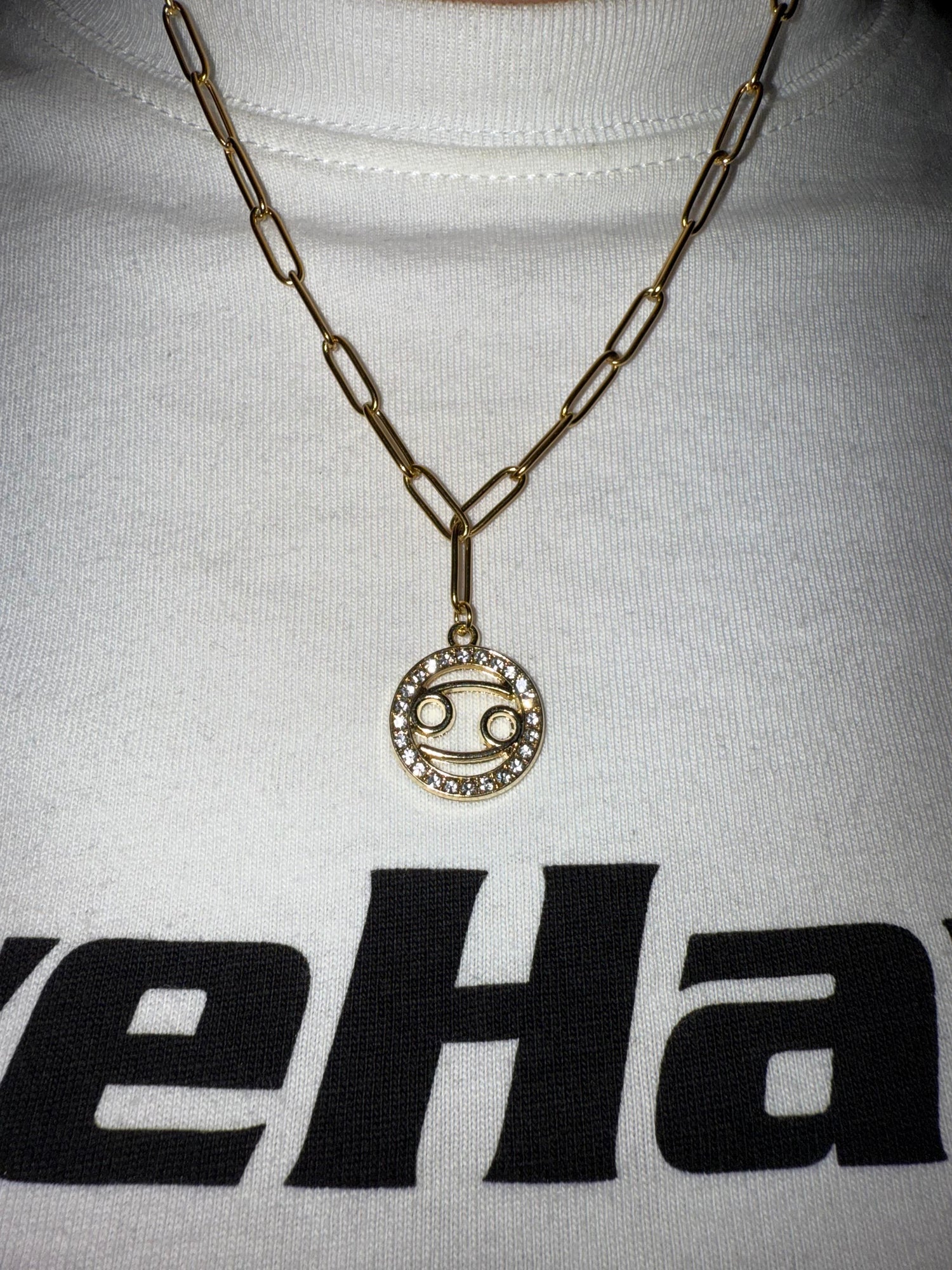 Zodiac Sign Necklace